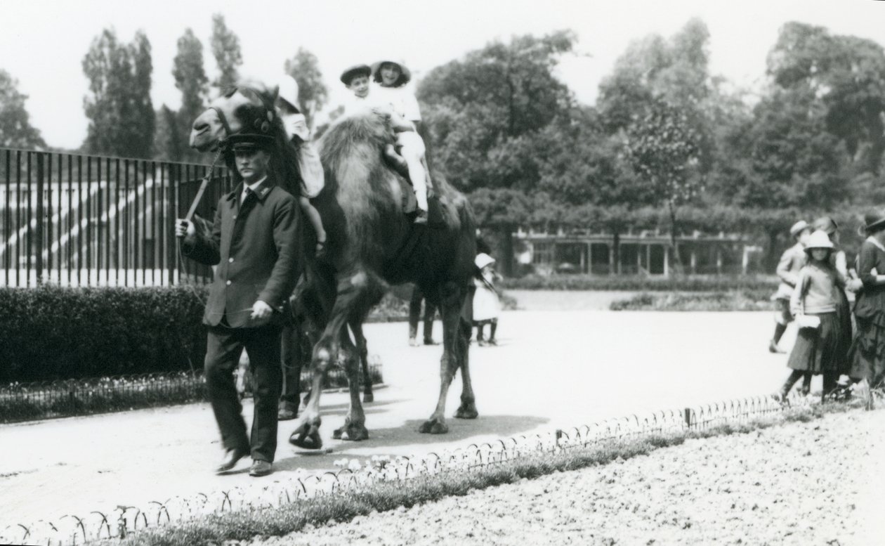 两名1922年8月在伦敦动物园乘坐双门骆驼的年轻游客，由一名饲养员带领（bw photo） 作者 弗雷德里克·威廉·邦德