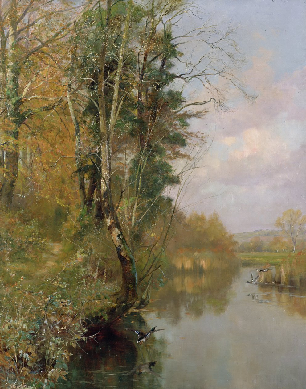 The River Frome，Morton nr Dorchester，1901 作者 弗雷德里克·威廉·牛顿·怀特黑德