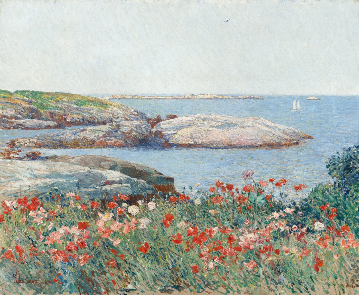 罂粟花，浅滩岛，1891年。 作者 弗雷德里克·柴尔德·哈萨姆