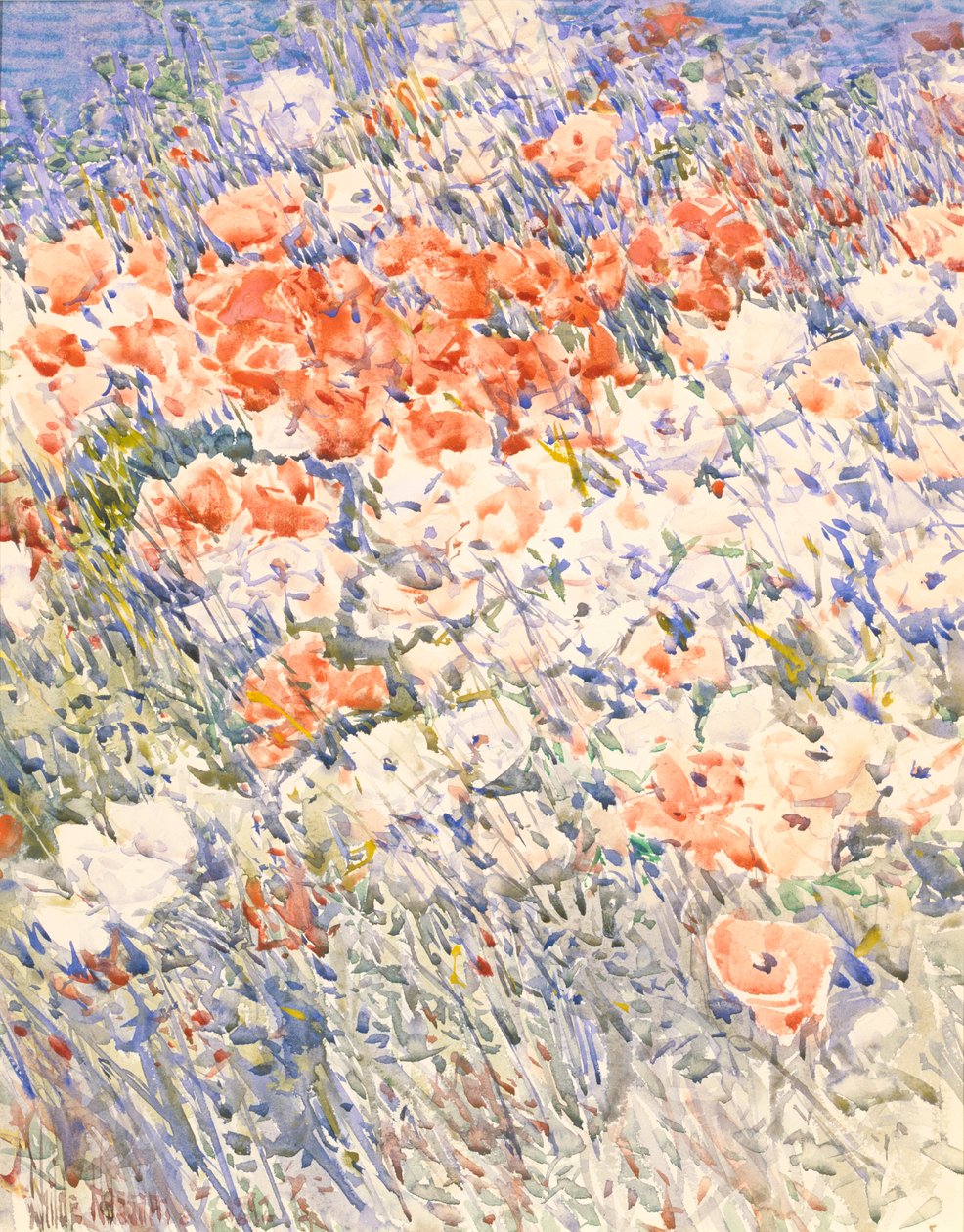 岛屿花园》，1892年。 作者 弗雷德里克·柴尔德·哈萨姆
