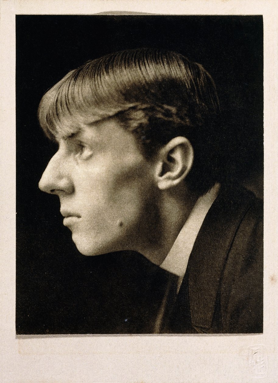 奥布里·比兹利（Aubrey Beardsley） 作者 弗雷德里克·亨利·埃文斯