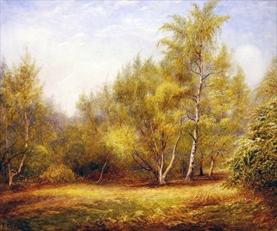 巴克赫斯特山附近的埃平森林（纸上水彩画） 作者 弗雷德里克·亨利·埃文斯