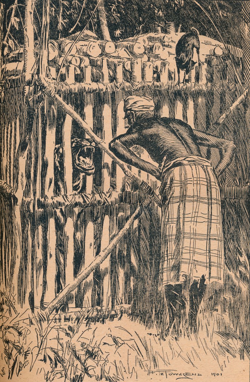 插图来自东方森林的寓言故事和民间传说，1901年 作者 弗雷德里克·亨利·汤森