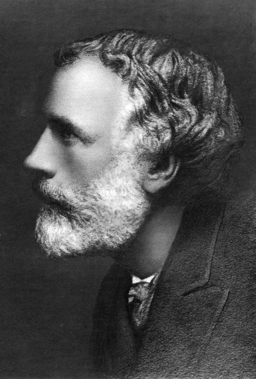 英国小说家兼诗人乔治·梅雷迪思（George Meredith），c1909年。 作者 弗雷德里克·霍利尔