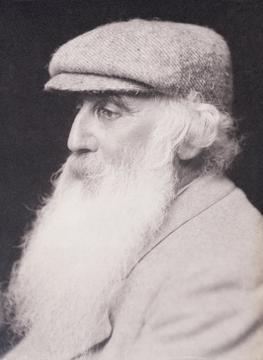 Camille Pissarro的肖像（1830-1903） 作者 弗雷德里克·霍利尔