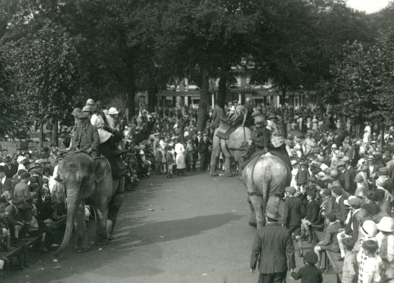 1926年8月，在伦敦动物园，三头亚洲大象在围观人群中观看骑大象（黑白照片）。 作者 弗雷德里克·威廉·邦德