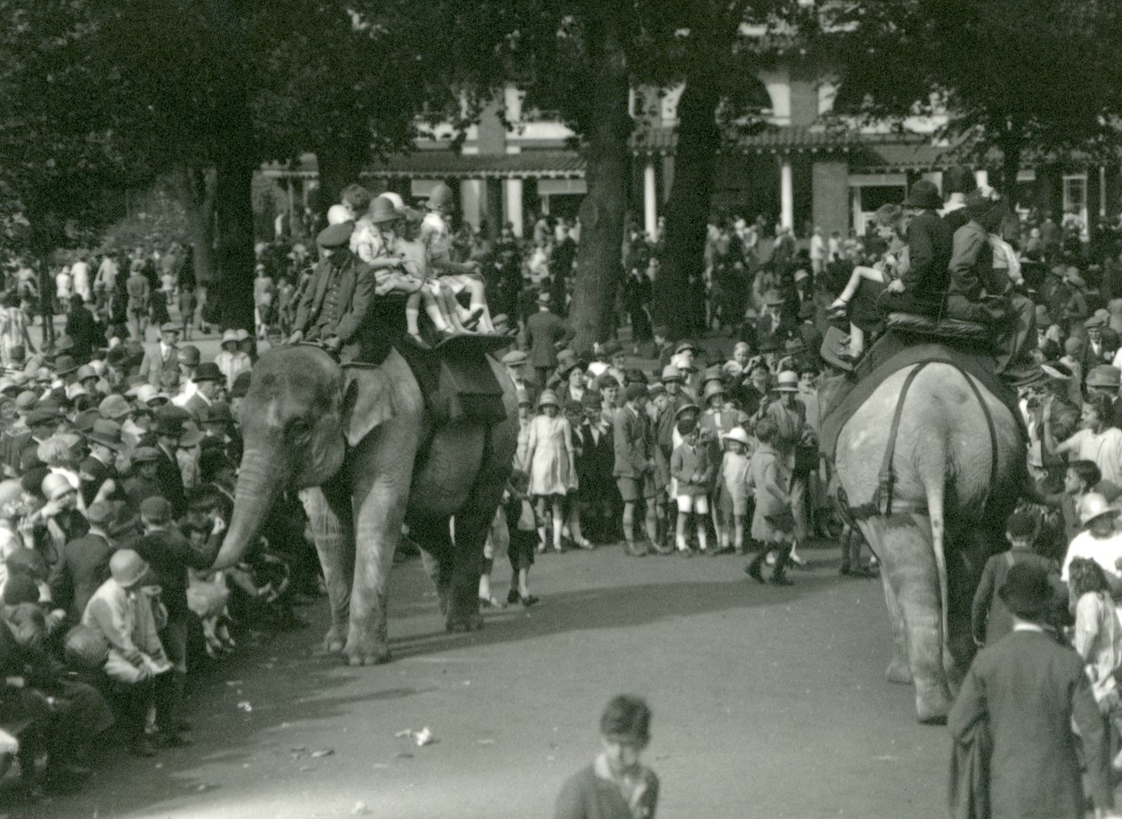 1926年8月，在伦敦动物园，两头亚洲大象在围观者的注视下进行骑象活动（黑白照片）。 作者 弗雷德里克·威廉·邦德