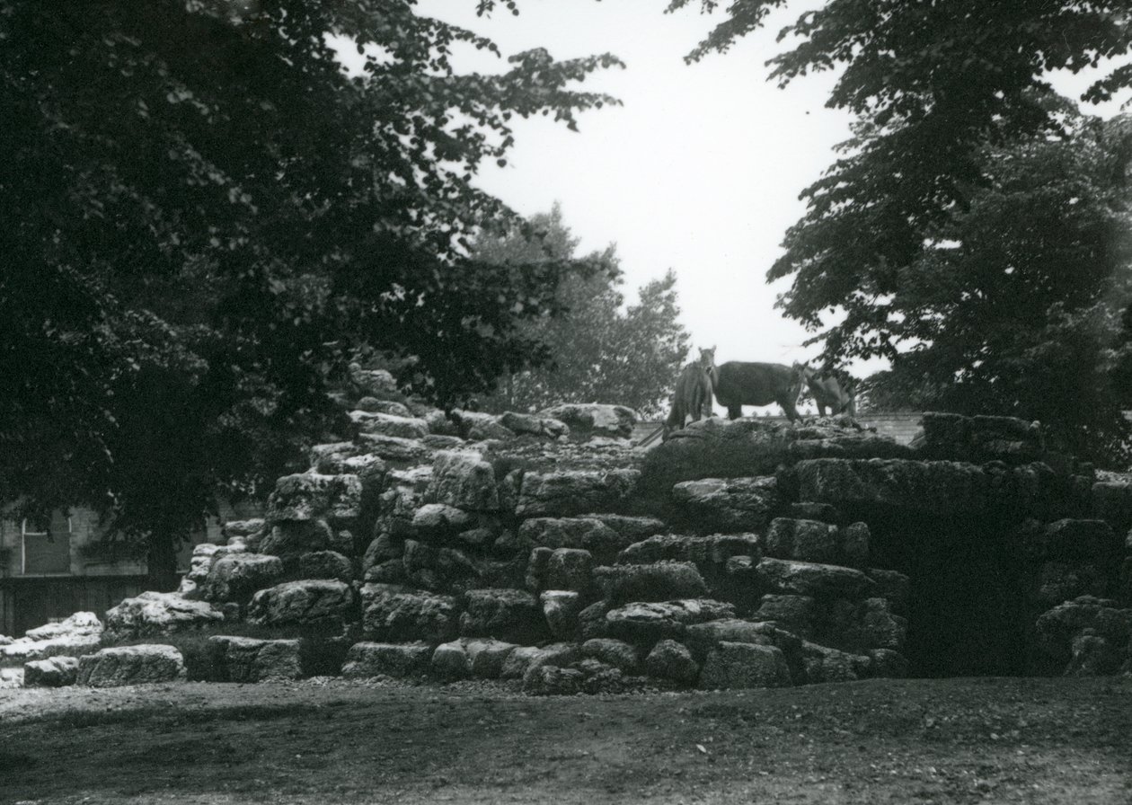 1924年6月伦敦动物园的ElandAnlope Paddock 作者 弗雷德里克·威廉·邦德