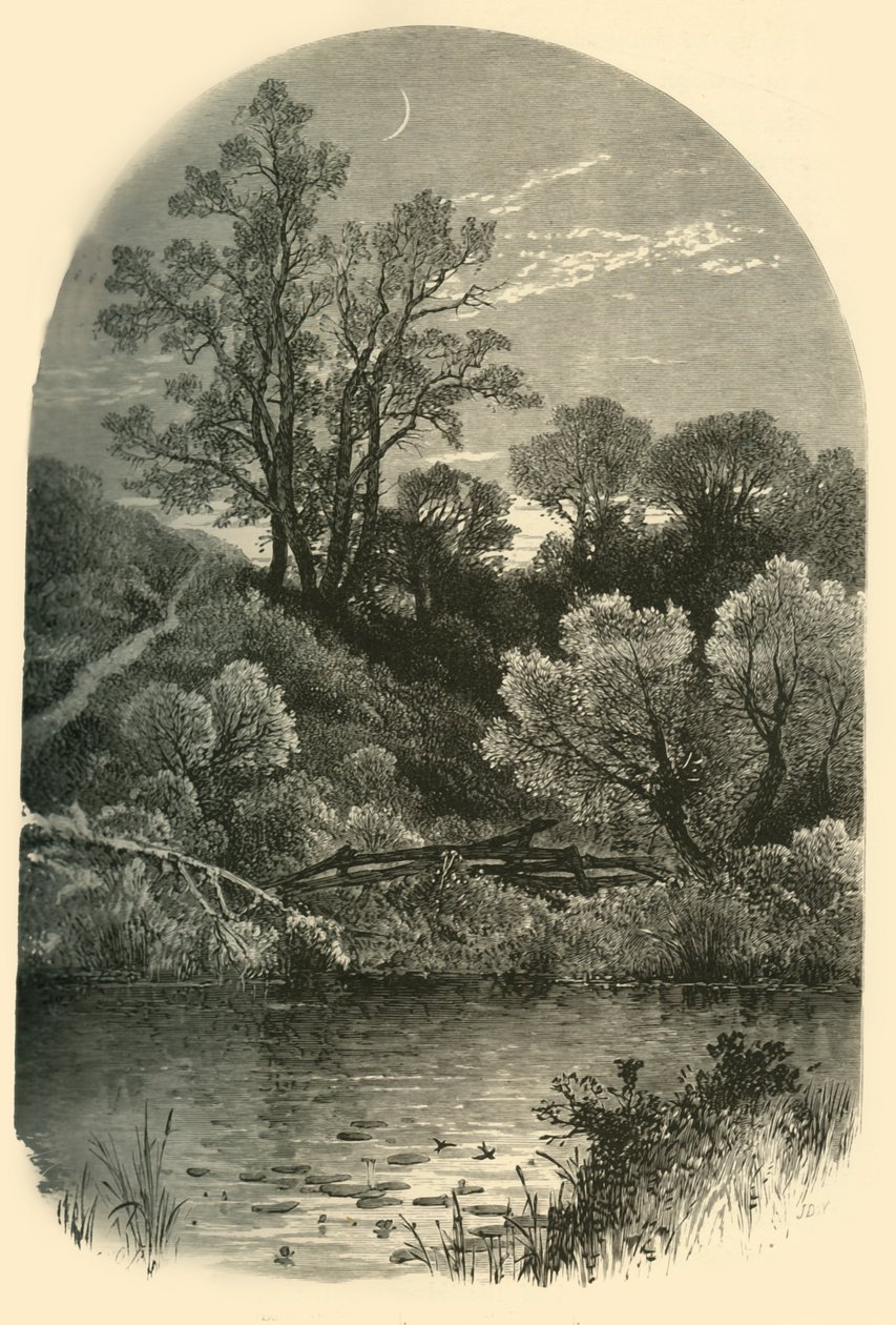 Housatonic河岸，在匹兹菲尔德"，1874年。   作者 弗雷德里克·威廉·夸特利