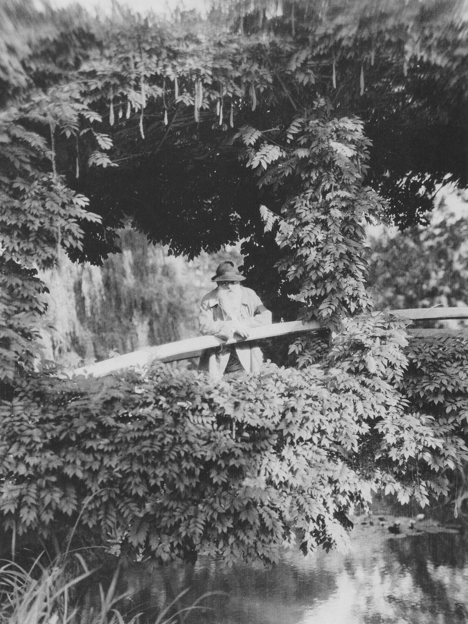 克劳德·莫奈（1841-1926）在吉维尼的花园里的日本桥上 作者 法国摄影师