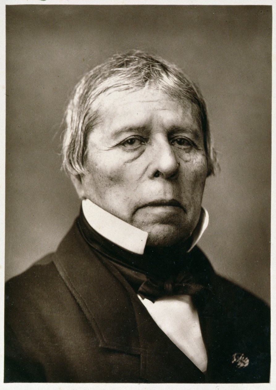 Jean Auguste Dominique Ingres（1780-1867），来自当代画廊，c.1874-78 作者 法国摄影师