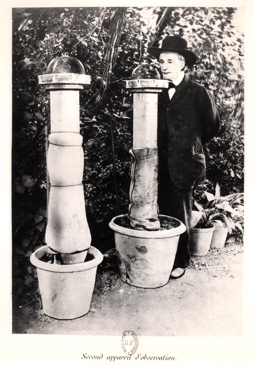 来自昆虫学记忆的Jean-Henri Fabre（1823-1915）于1924年出版 作者 法国摄影师