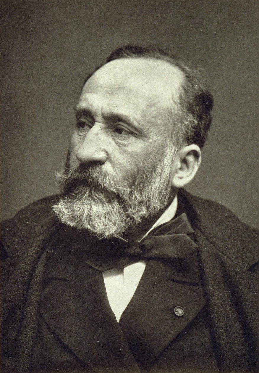 Pierre Cecile Puvis de Chavannes（1824-98），来自当代画廊，c.1874-78 作者 法国摄影师
