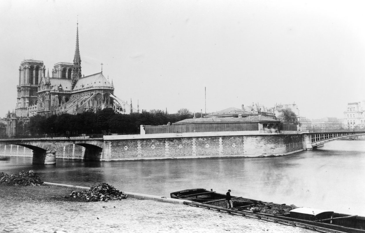 在巴黎，Quai de la Tournelle和塞纳河，巴黎圣母院大教堂的视图，c.1900 作者 法国摄影师