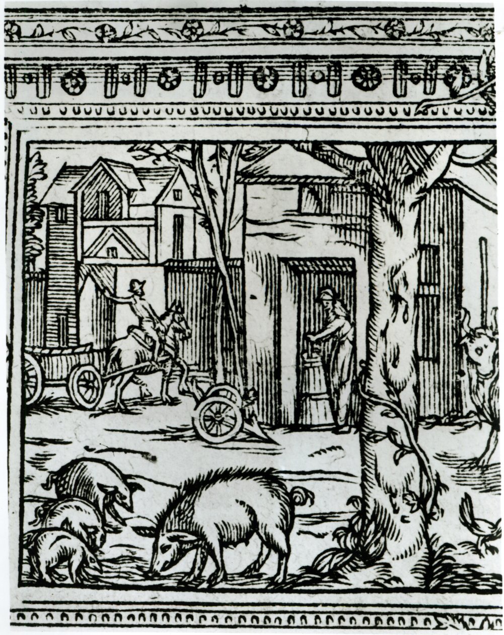 一个农场，来自&39;农业剧院和Mesnage des Champs&39;的插图由Olivier de Serres（1539-1619） 作者 法语学校