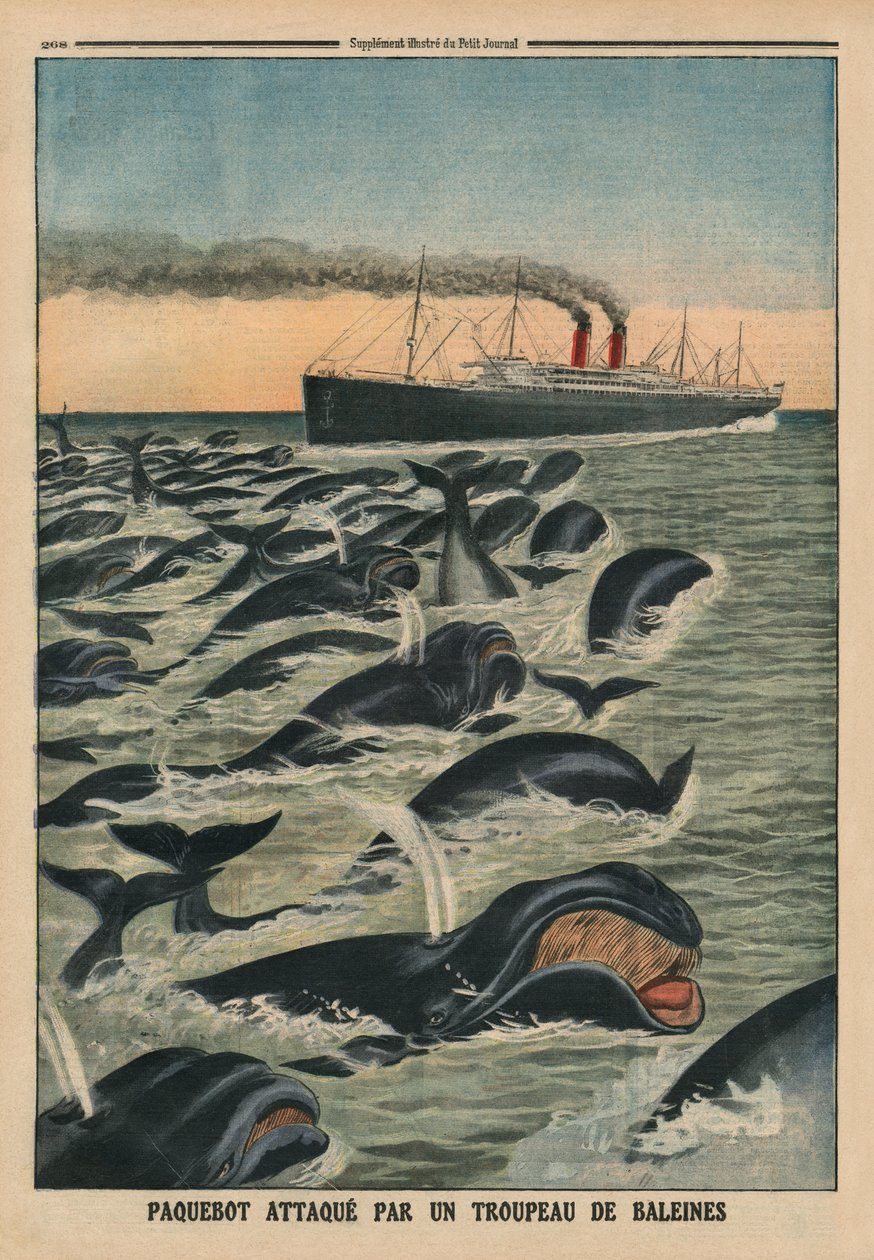 一群鲸鱼攻击一个班轮，后盖插图来自&39;Le Petit Journal&39;，补充说明，1913年8月17日 作者 法语学校