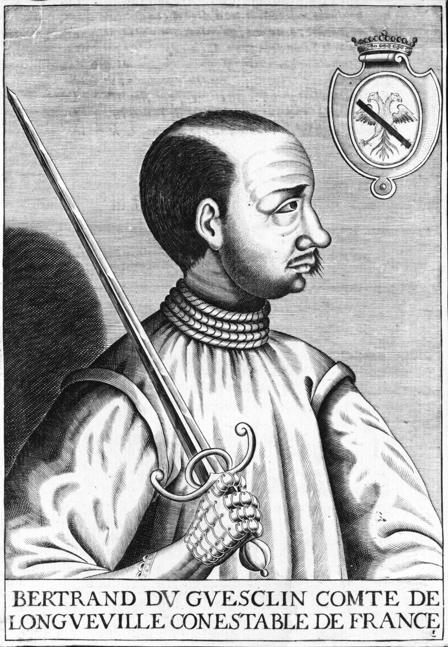 Bertrand du Guesclin 作者 法语学校
