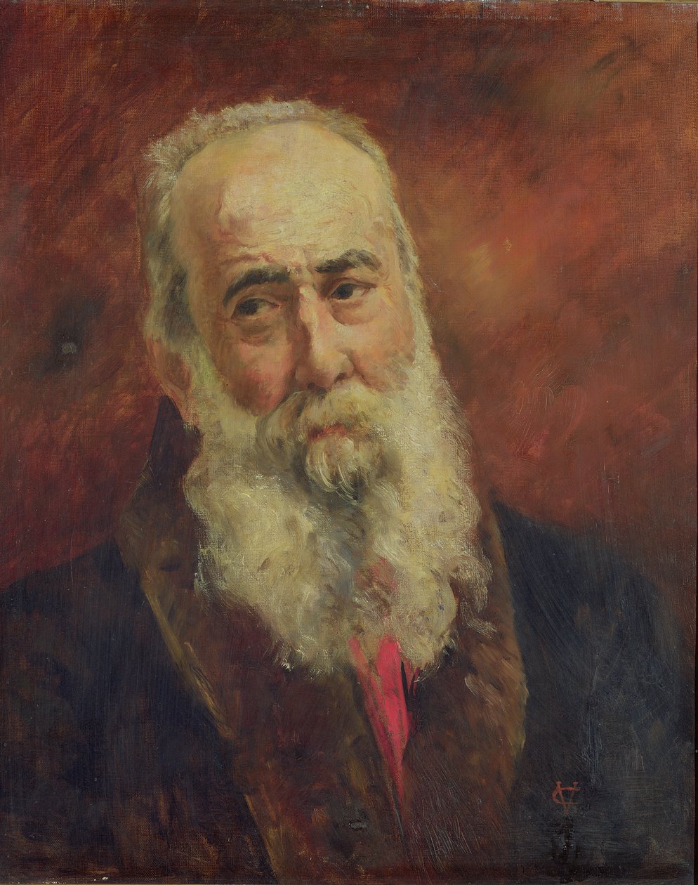 红衣主教Charles Lavigerie（1825-92）阿尔及利亚大主教 作者 法语学校