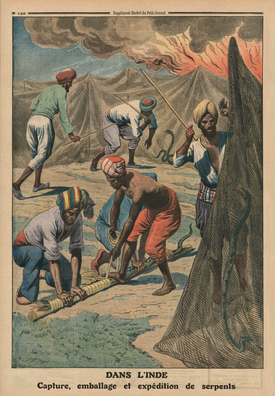 抓捕，包装和送蛇，印度，封面插图来自&39;Le Petit Journal&39;，补充illustre，1913年4月20日 作者 法语学校