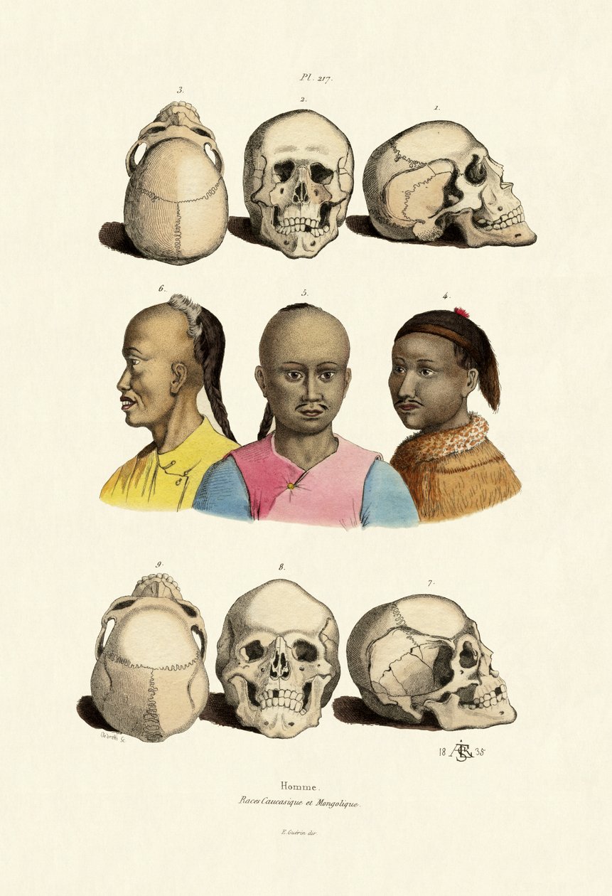 高加索人，1833年至1939年 作者 法语学校