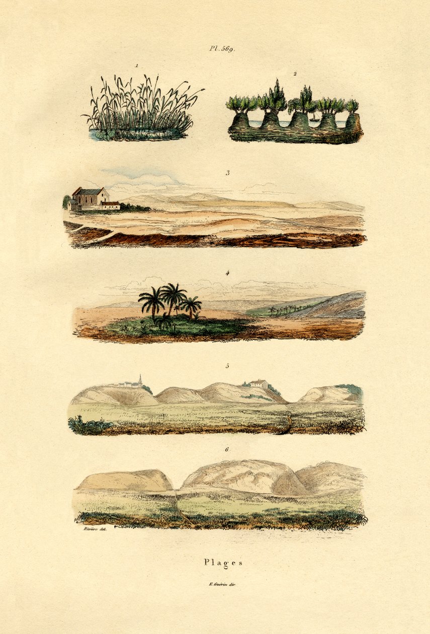 海岸，1833年至1939年 作者 法语学校