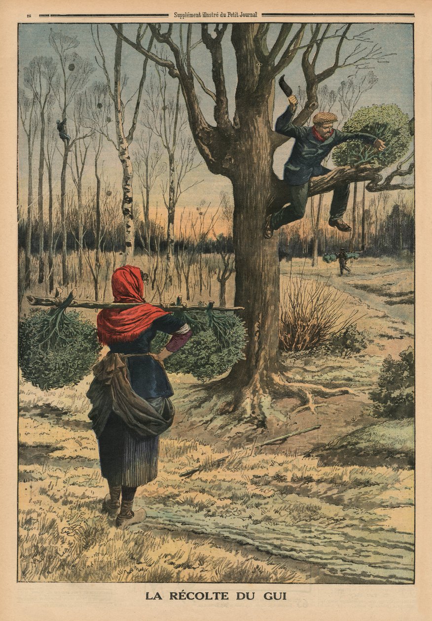 切割槲寄生，封面插图来自&39;Le Petit Journal&39;，补充illustre，1914年1月4日 作者 法语学校