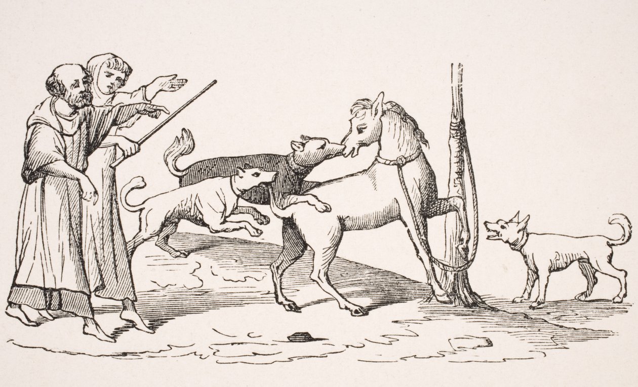 马和狗之间的斗争，13世纪手稿中的缩影再现，来自Paul Lacroix（1806-84）的“Le Moyen Age et La Renaissance”1847年出版 作者 法语学校