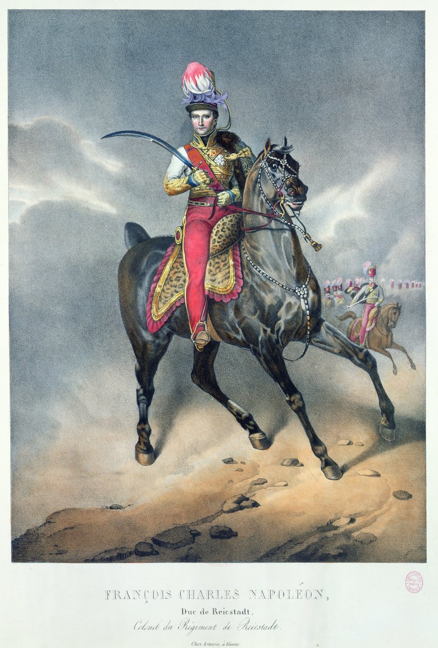 Francois Charles Napoleon（1811-32）Reichstadt公爵 作者 法语学校