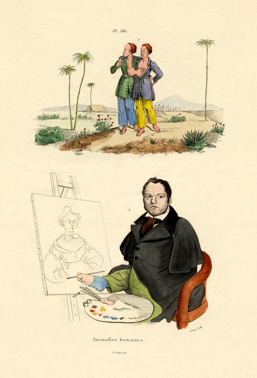 怪胎，1833-39 作者 法语学校
