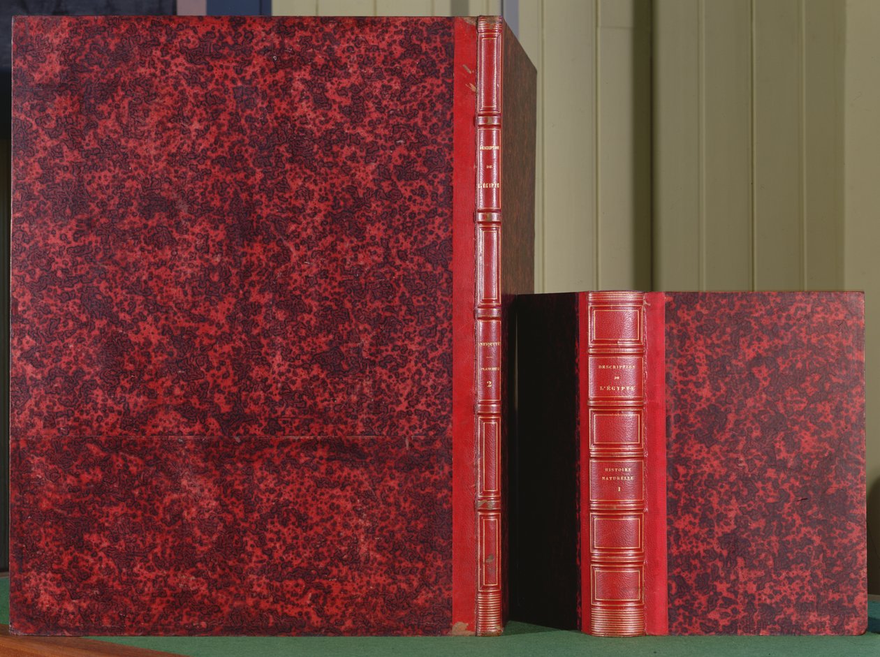 封面的描述de lEgypte，第1册，第二卷，古物和第8册，第一卷，Histoire Naturelle，1809（皮革）的封底 作者 法语学校