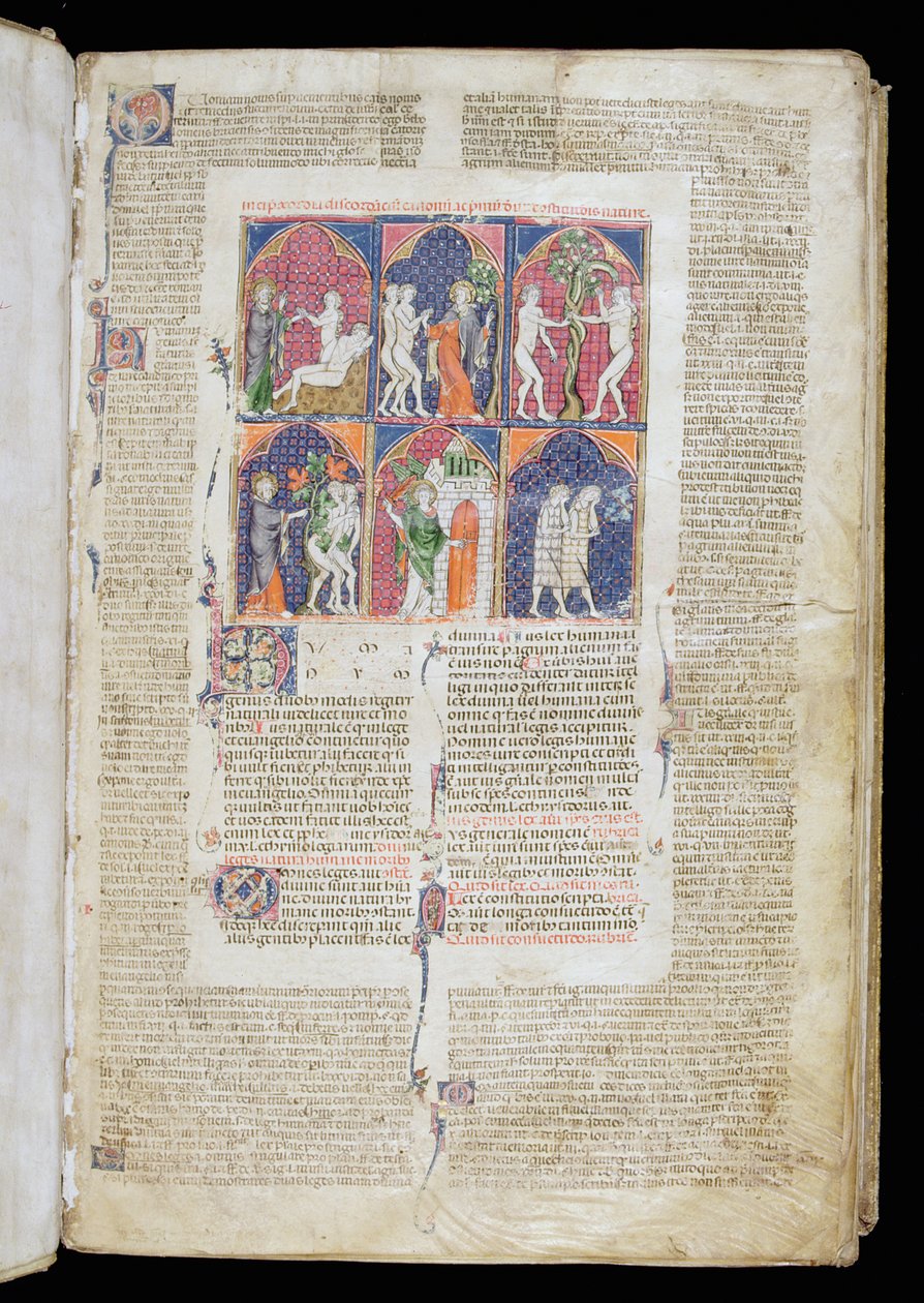 262女士，f.1r：Gratian&39;s Decretum创作和堕落的六个场景，c.1300 作者 法语学校
