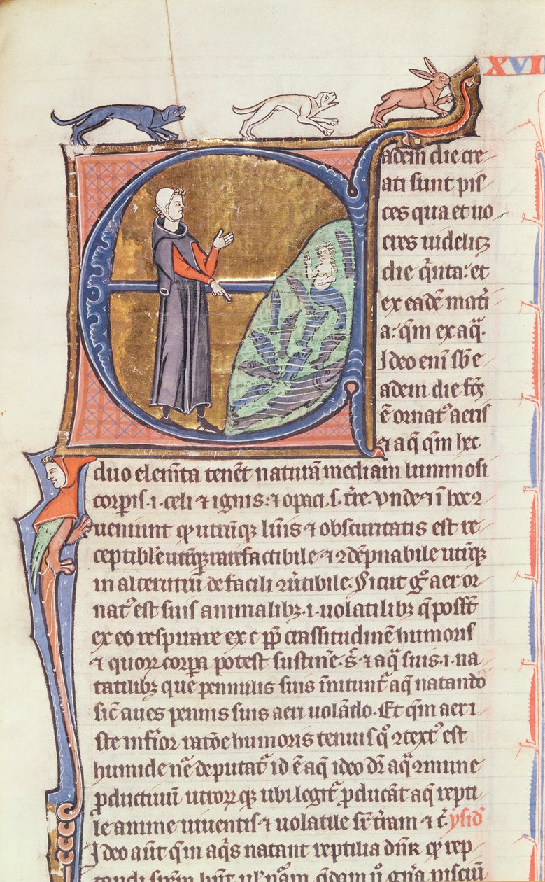 426号文件：fol.213一名鱼塘医生，来自Vincent de Beauvais的“自然之镜” 作者 法语学校