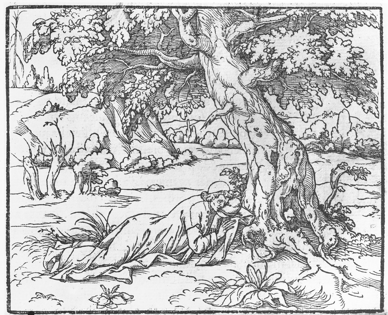 1546年，Francesco Colonna撰写的“Poliphile之梦”致辞 作者 法语学校