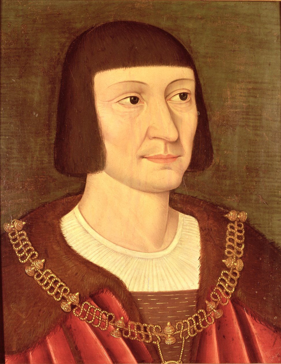 Pierre du Terrail（1476-1524）贝亚德骑士 作者 法语学校