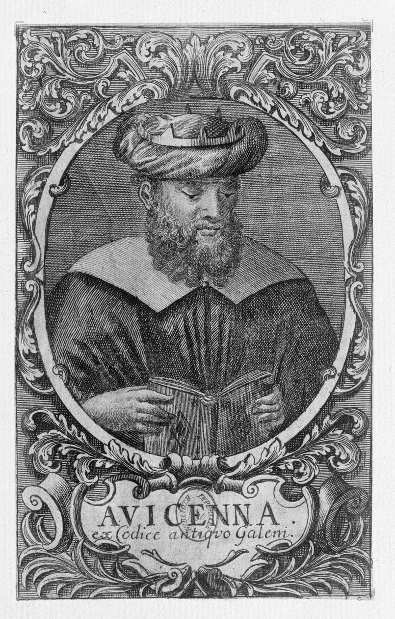 阿维森纳的肖像（Ibn Sina）（980-1037）阅读 作者 法语学校