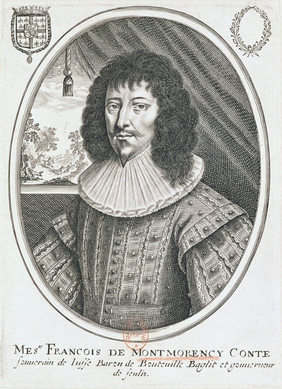 Francois de Montmorency（1530-79）1600-27的肖像 作者 法语学校