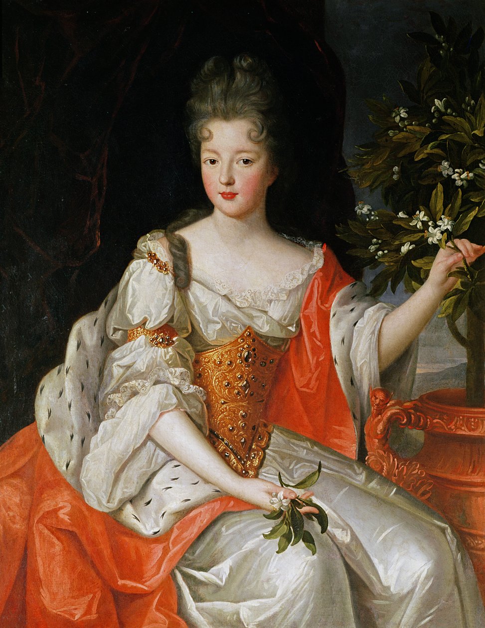 Louise-Francoise de Bourbon（1673-1743）17世纪末的肖像 作者 法语学校