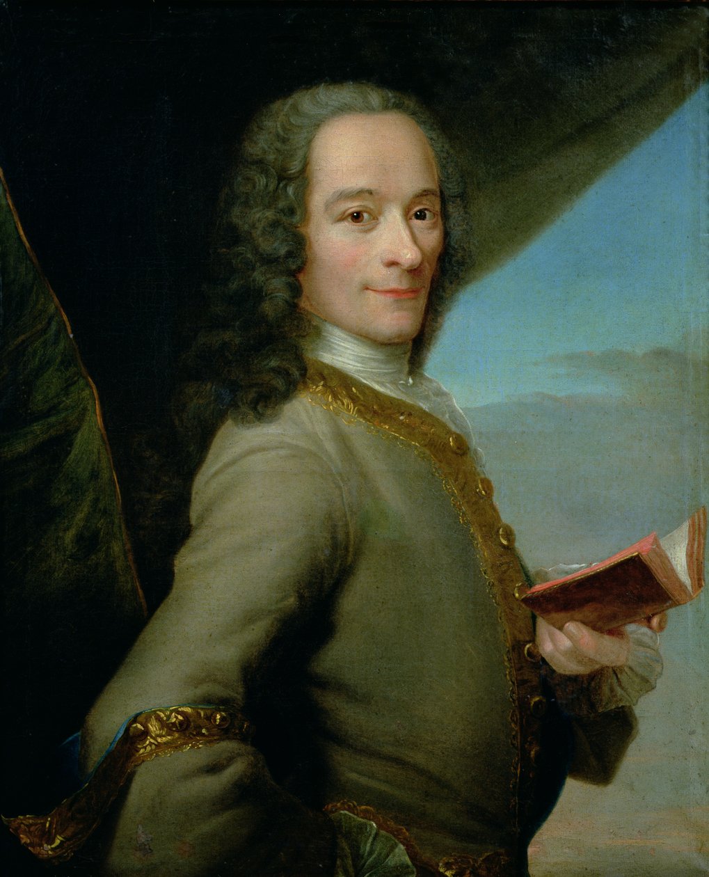 年轻伏尔泰的肖像（1694-1778） 作者 法语学校