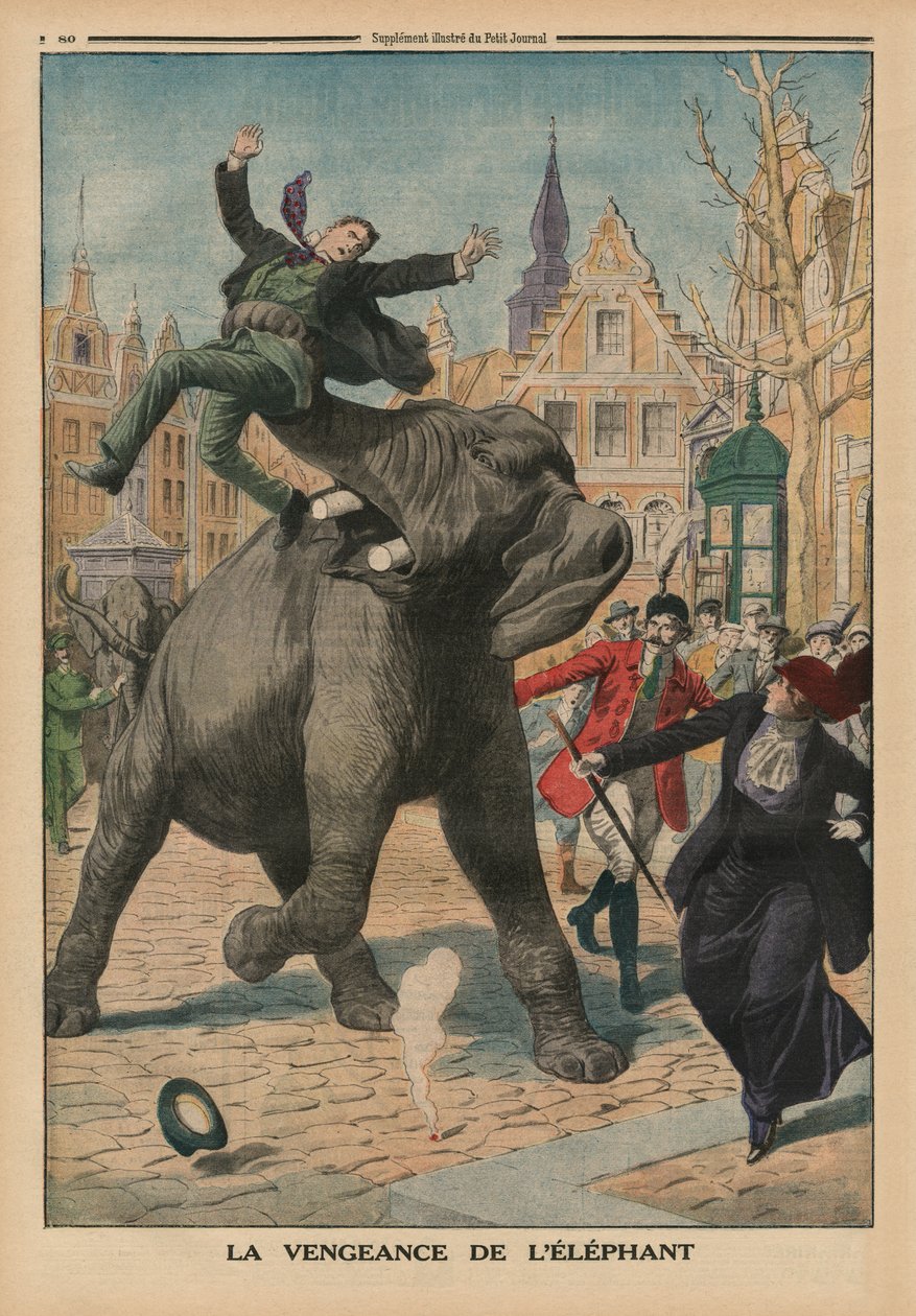 复仇的大象，封面插图来自&39;Le Petit Journal&39;，补充illustre，1914年3月8日 作者 法语学校