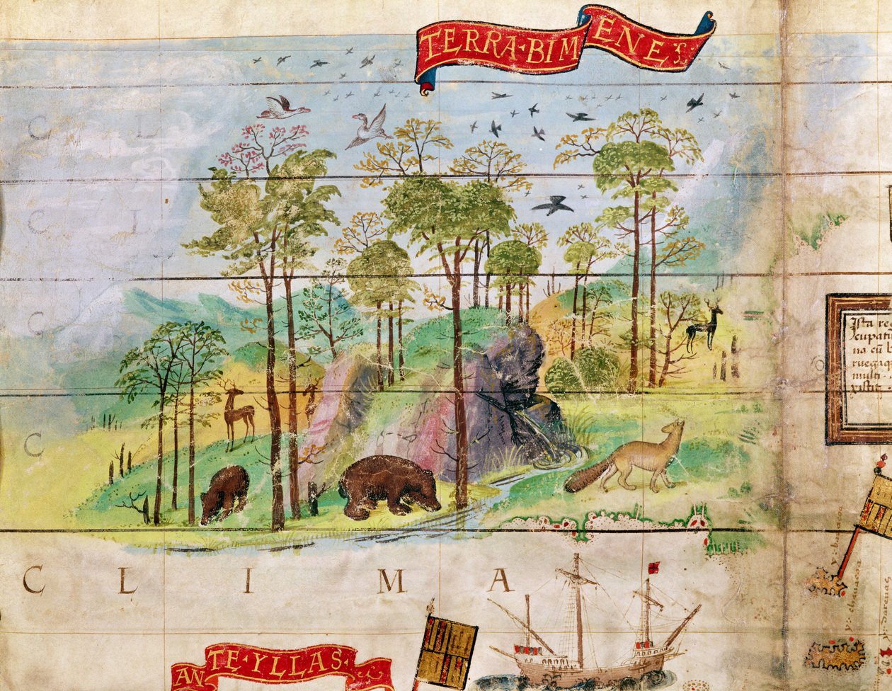 加拿大森林，详细信息来自大西洋地图，1519年 作者 法语学校