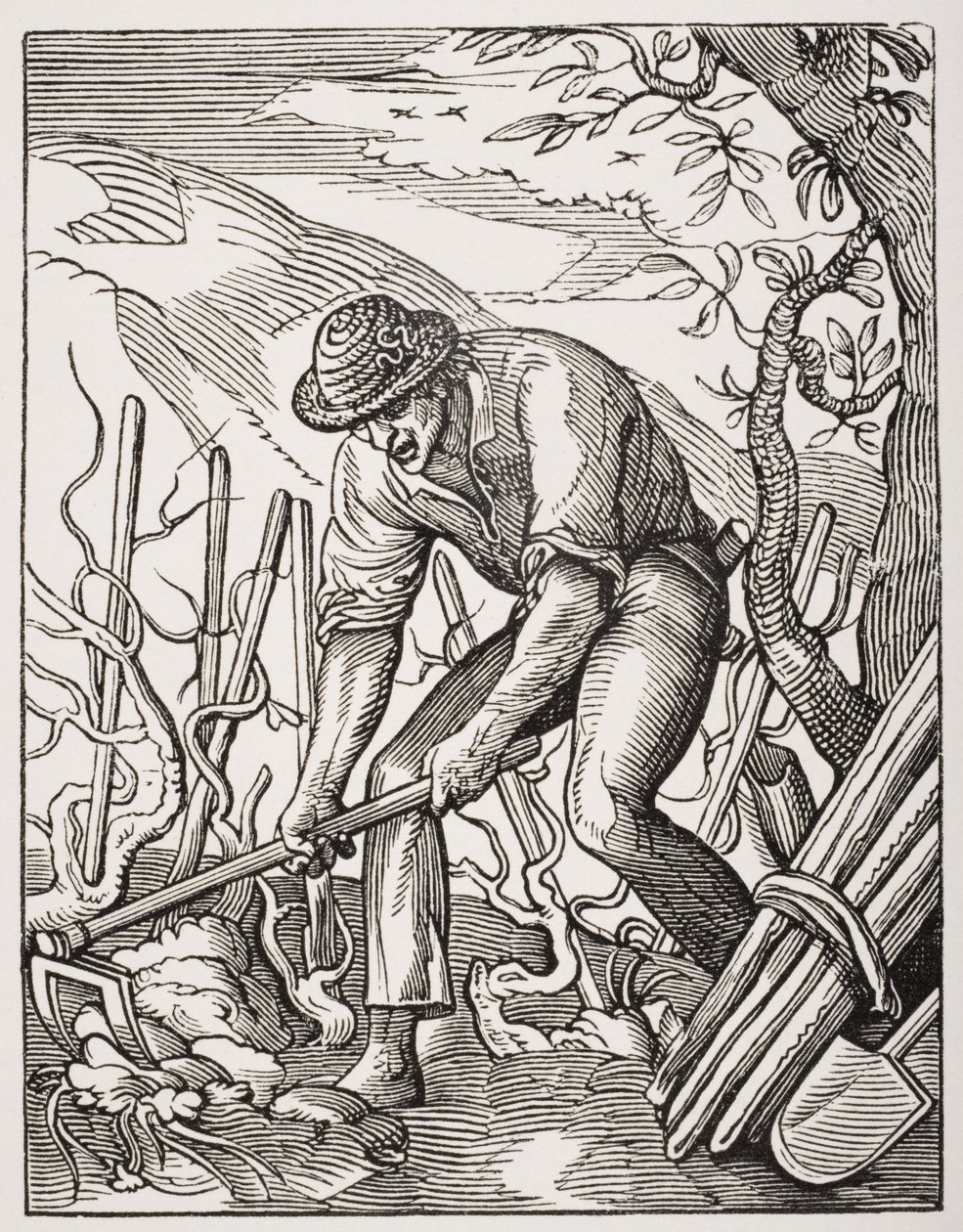 葡萄酒种植者，由Jost Amman（1539-91）在“Le Moyen Age et La Renaissance”中由Paul Lacroix（1806-84）雕刻而成，于1847年出版 作者 法语学校