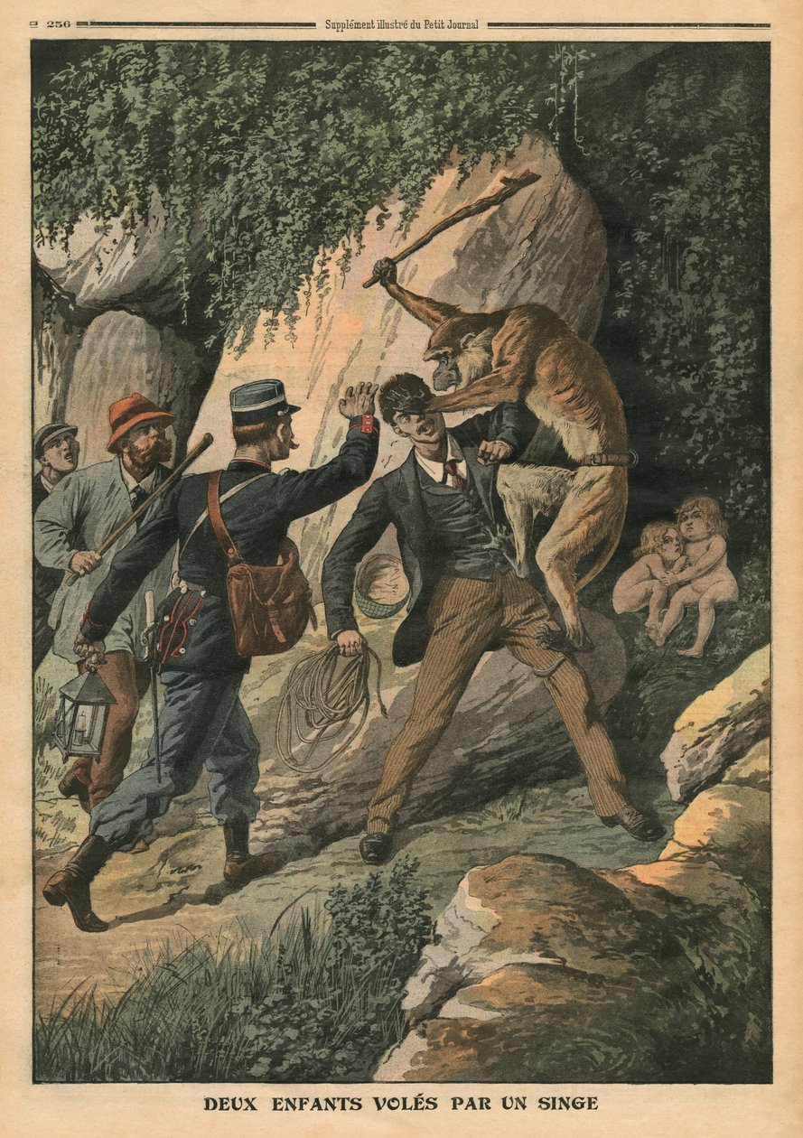 两只孩子被一只母猴子偷走，插图来自&39;Le Petit Journal&39;，补充illustre，1910年8月7日 作者 法语学校