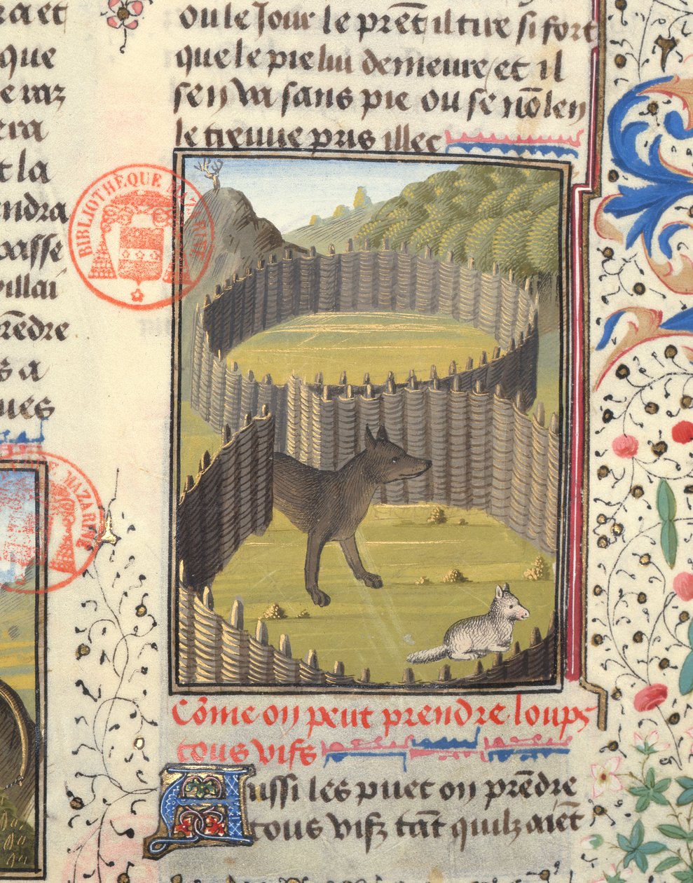 狼即将攻击羔羊，来自Livre de la Chasse的Gaston Phebus de Foix（1331-91） 作者 法语学校