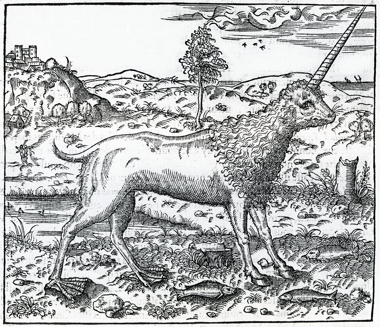 Campchurch Unicorn，来自1575年Andre Thevet的“La Cosmographie universelle”插图 作者 法语学校