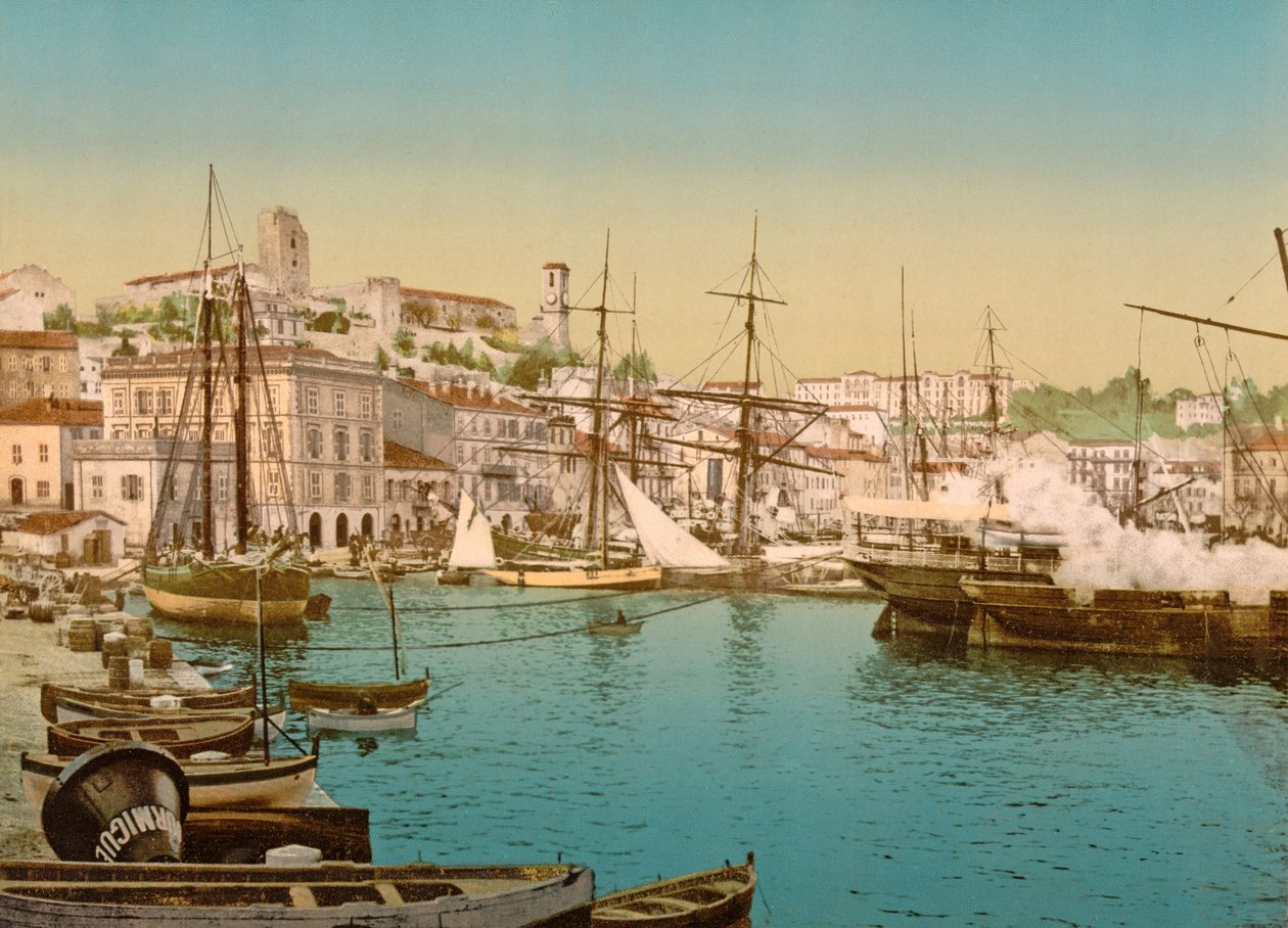 戛纳港一般视图，1890-1900 作者 法国摄影师