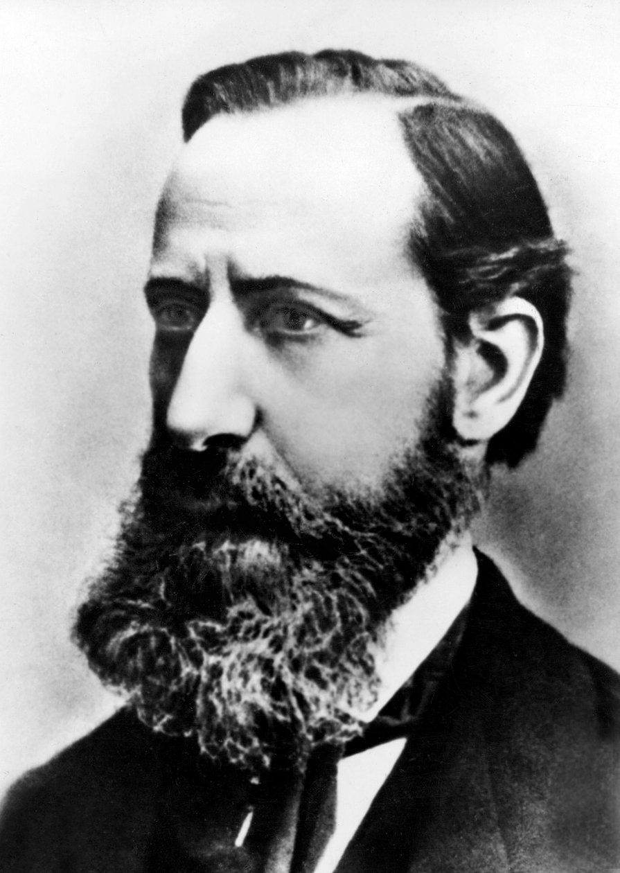 Henri Nestle，1875年 作者 法国摄影师