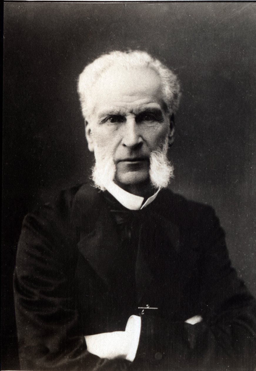 Aime Joseph Edmond Rousse（1817-1906）的肖像，法国律师。 作者 法国摄影师