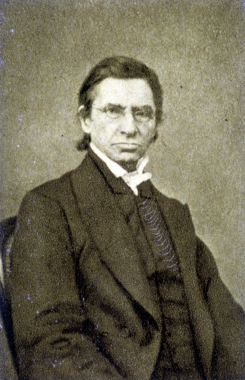 Portrait of Maximilian Emile Littré (1801 - 1881) in 1869 作者 法国摄影师