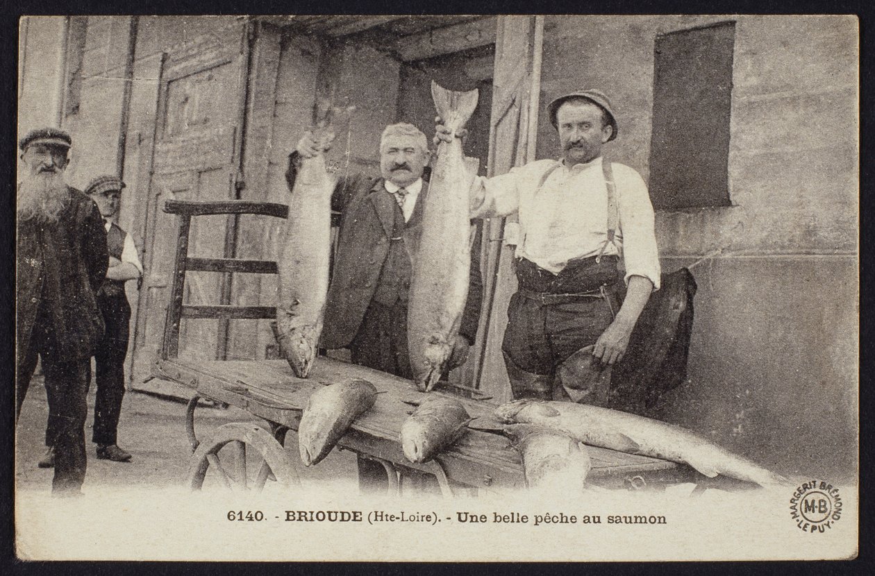 明信片描绘了在Brioude，Haute-Loire，c.1900的鲑鱼的好捕获 作者 法国摄影师