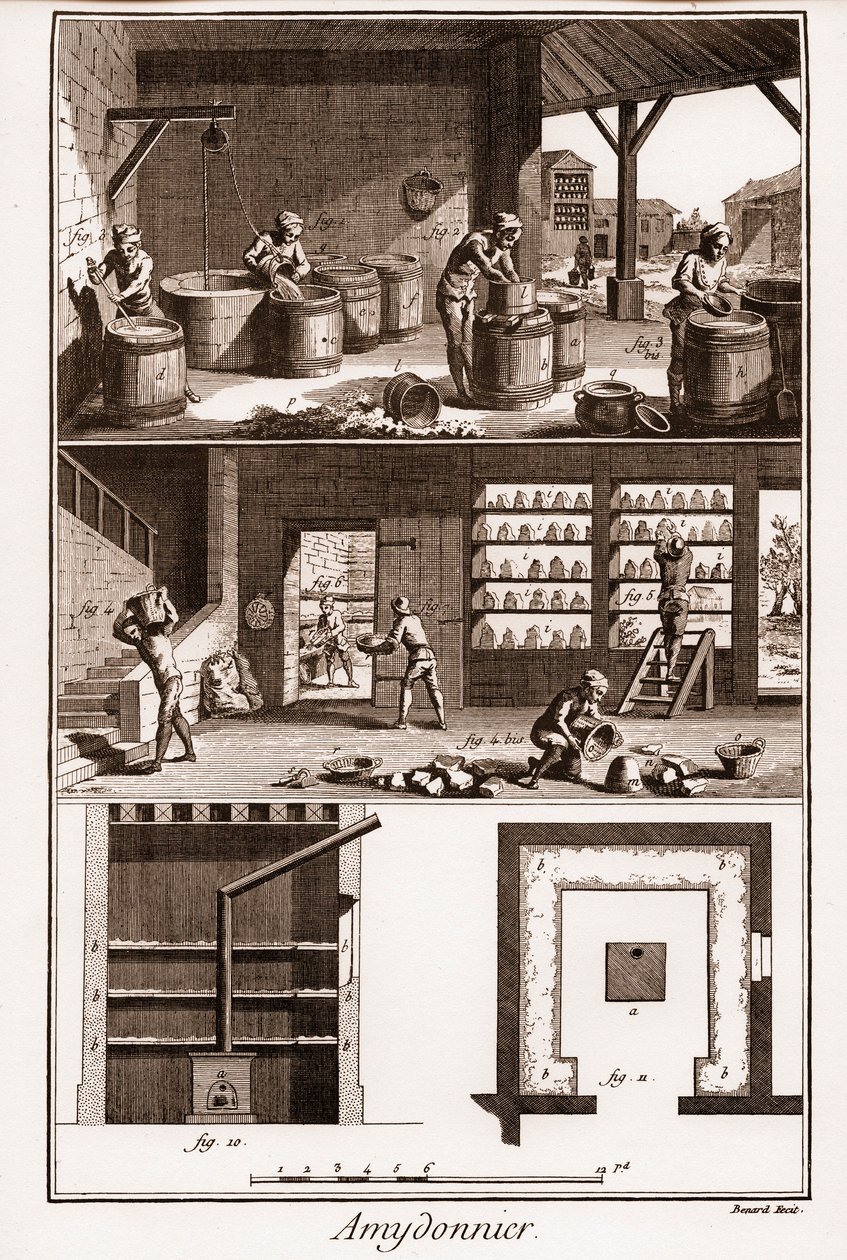 AMDONIER - Amydonnier - "The Great Encyclopedie, ou Dictionnaire Raisonne des Sciences, des Arts et des Metiers"（大百科全书或科学、艺术和专业词典），由Denis Diderot（1713-1784）和Jean d